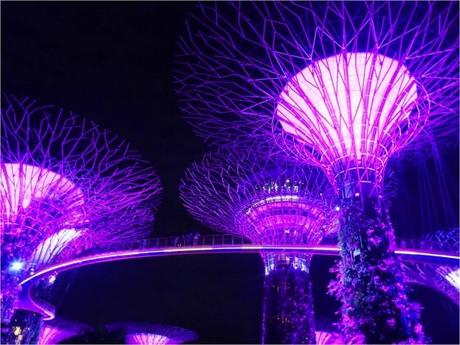 singapour-gardens-by-the-bay-sons-et-lumieres-1