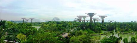 singapour-gardens-by-the-bay-panoramomique