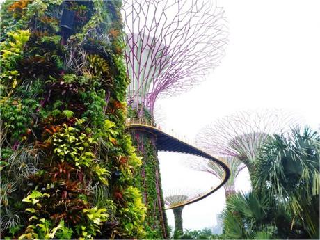 singapour-gardens-by-the-bay-vue-sur-les-arbres-modernes