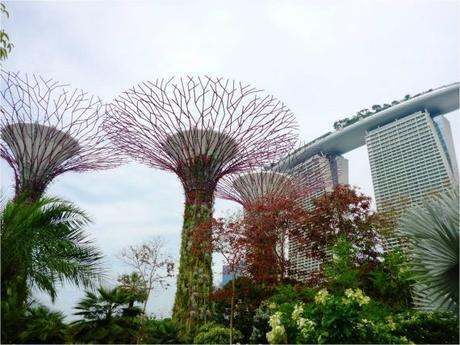 singapour-gardens-by-the-bay-arbres-et-marina-bay-sands