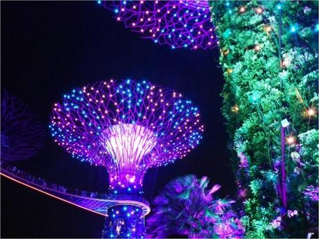 singapour-gardens-by-the-bay-sons-et-lumieres-2