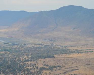 Au Pays de Simba : Ngorongoro crater