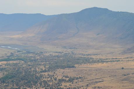 Au Pays de Simba : Ngorongoro crater
