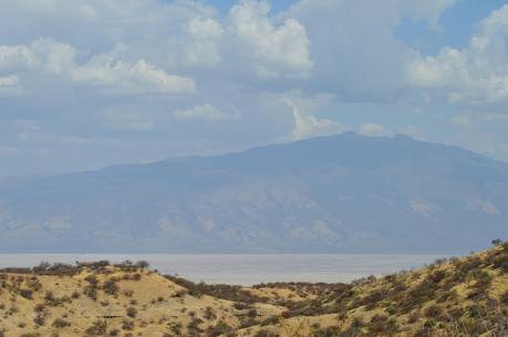 Au Pays de Simba : Natron Lake