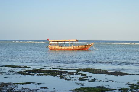 Zanzibar