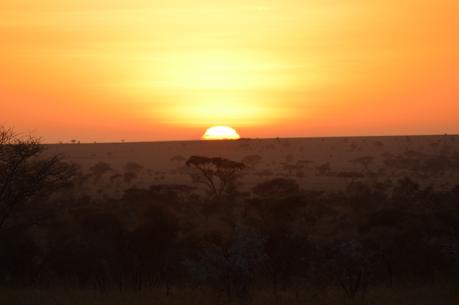 Au Pays de Simba : Natron Lake