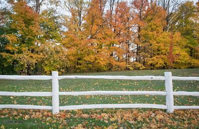 L'automne au Canada