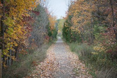 L'automne au Canada