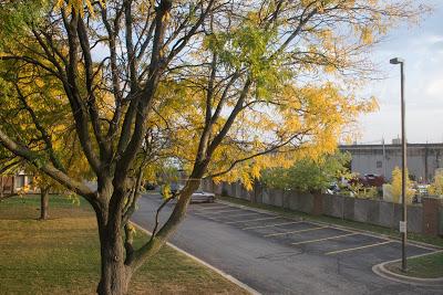 L'automne au Canada