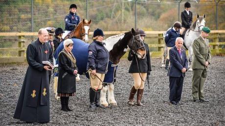 Horse remembrance