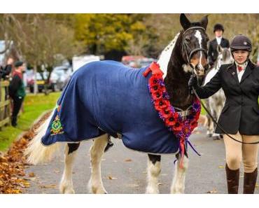 Horse remembrance