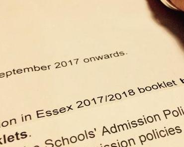 Primary school application
