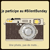 Silent Sunday #17