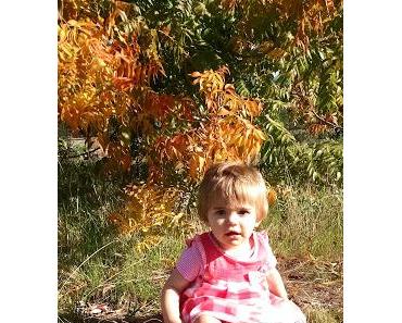 L'automne en Californie