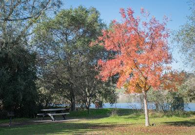 L'automne en Californie