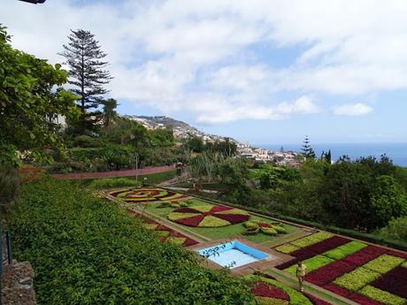Balade au jardin botanique de Funchal, le temps de mettre le temps sur pause ...