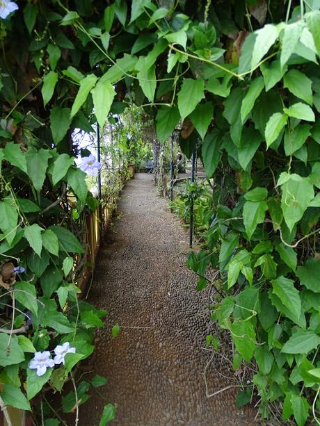 Balade au jardin botanique de Funchal, le temps de mettre le temps sur pause ...