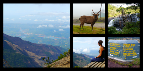 Les 5 plus belles randonnées au Sri Lanka