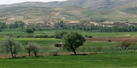 Abad Ali, Iran. 2008