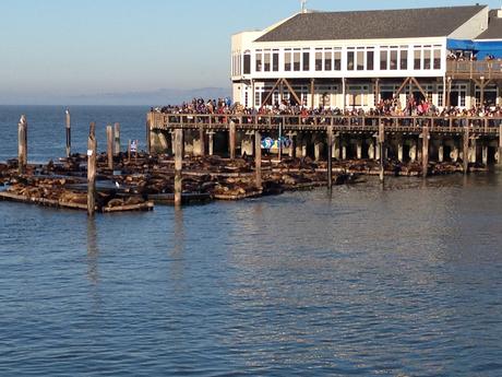 8 activités à faire au Pier 39 à San Francisco