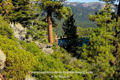 Stateline Lookout Trail, une randonnée magnifique au Nord du Lac Tahoe entre la Californie et le Nevada