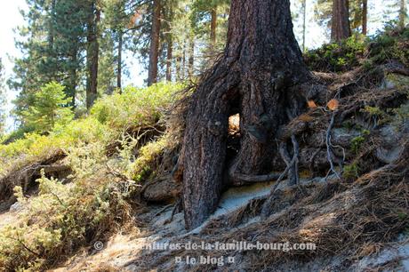 Stateline Lookout Trail, une randonnée magnifique au Nord du Lac Tahoe entre la Californie et le Nevada