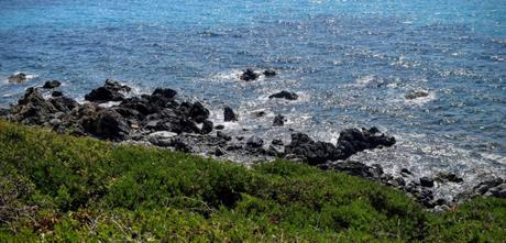 Des îles Sanguinaires d’Ajaccio aux tortues d’A Cupulatta
