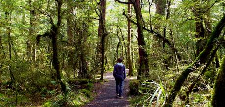NZ -Le  Guide des Great Walk