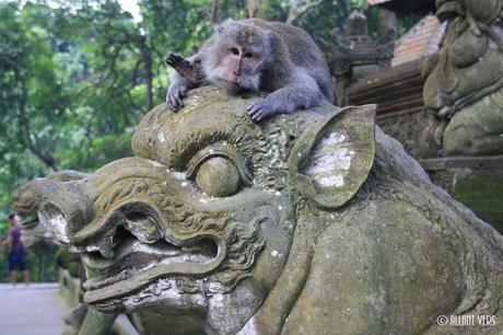 Ubud : la décontract’ de Bali Ubud : la décontract’ de Bali