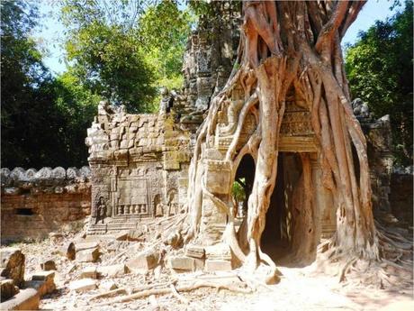 angkor-ta-som-entree-arbre