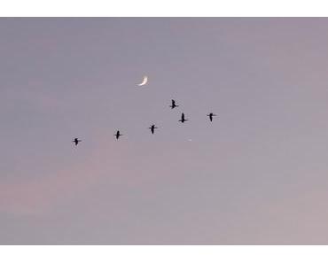 Et dans le ciel de Venise ....