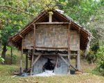 Vanuatu #7 – Le bonheur est dans le village de Botco