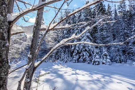 Plaisirs d’hiver au Nouveau-Brunswick