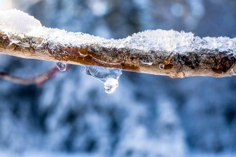 Plaisirs d’hiver au Nouveau-Brunswick