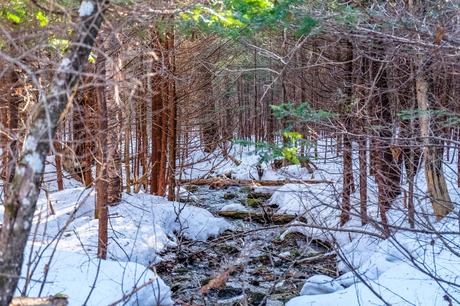 Plaisirs d’hiver au Nouveau-Brunswick