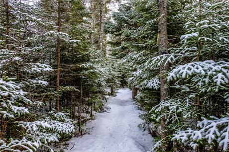 Plaisirs d’hiver au Nouveau-Brunswick