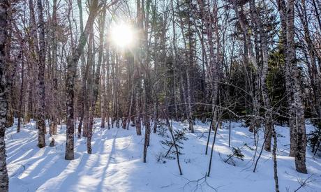 Plaisirs d’hiver au Nouveau-Brunswick