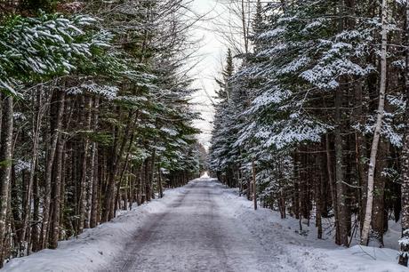 Plaisirs d’hiver au Nouveau-Brunswick