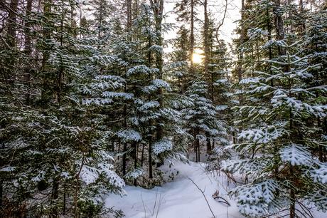 Plaisirs d’hiver au Nouveau-Brunswick