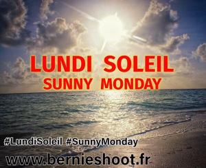 Sunny Monday 2017 #2