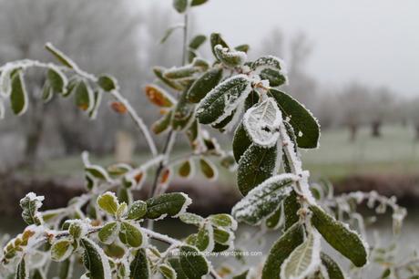 La Loire en blanc