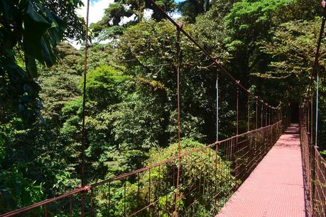 Pont Monteverde (1)