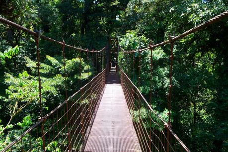Pont Monteverde (2)