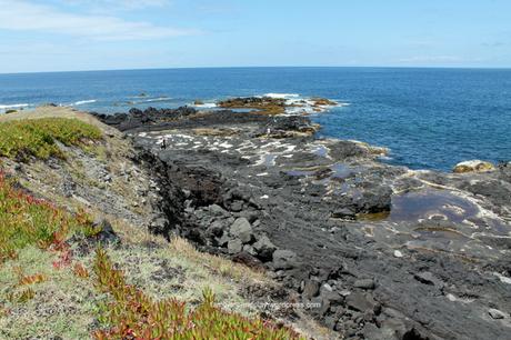 Aux Açores : São Miguel côté Ouest