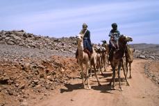 Hoggar, Algérie. 1987