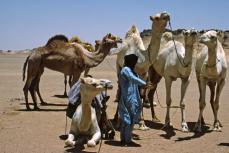 Hoggar, Algérie. 1987