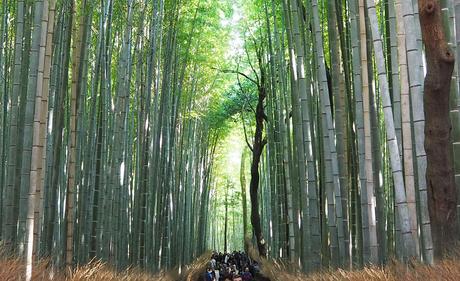 Un week-end de 3 jours à Kyoto