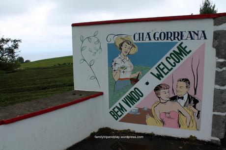 Aux Açores : sea, surf and tea !