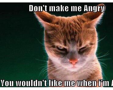Thursday Thunder: I am not giving up!