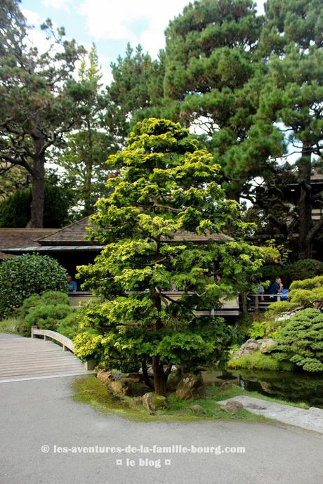 Visiter le Japanese Tea Garden à San Francisco